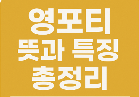 영포티 뜻과 특징 총정리