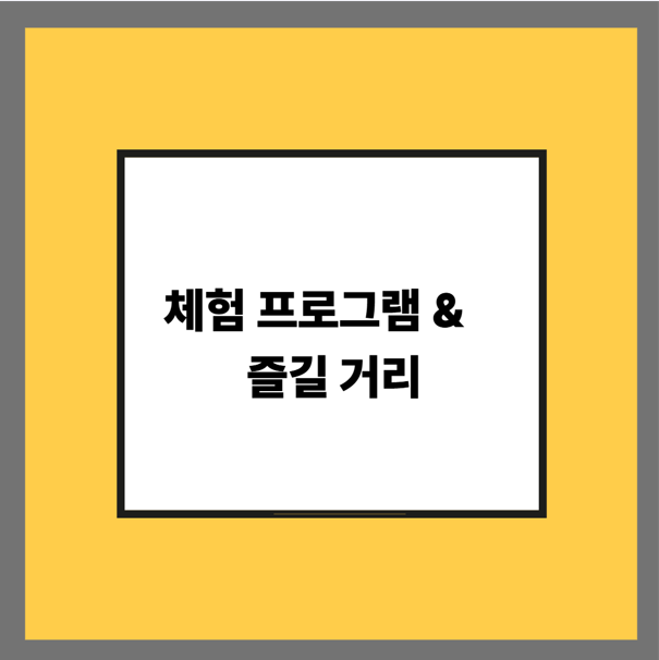 체험 프로그램 & 즐길 거리