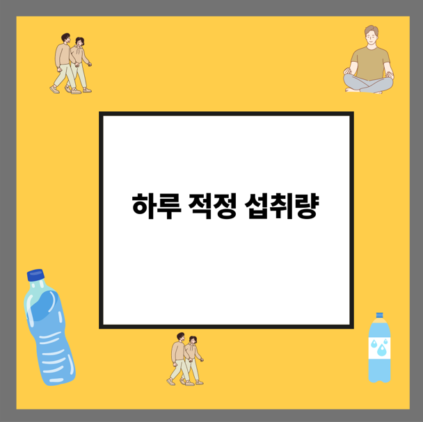 하루 적정 섭취량