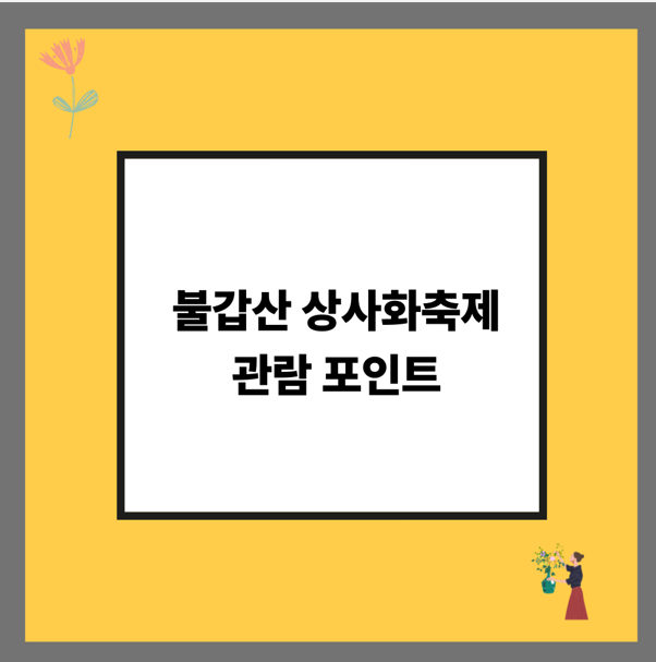 불갑산 상사화축제 관람 포인트