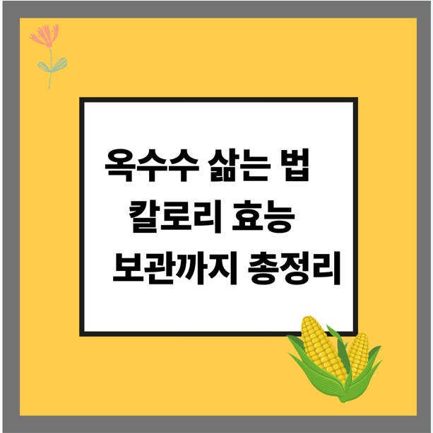 옥수수 삶는 법 칼로리 효능 보관까지 총정리