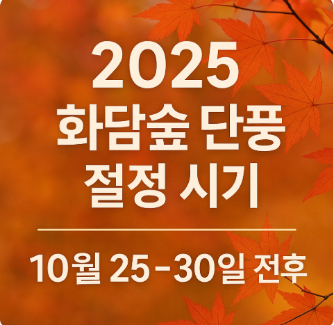 2025 화담숲 단풍 절정 시기