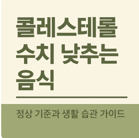 콜레스테롤 수치 낮추는 음식 총정리 정상 기준과 생활 습관 가이드