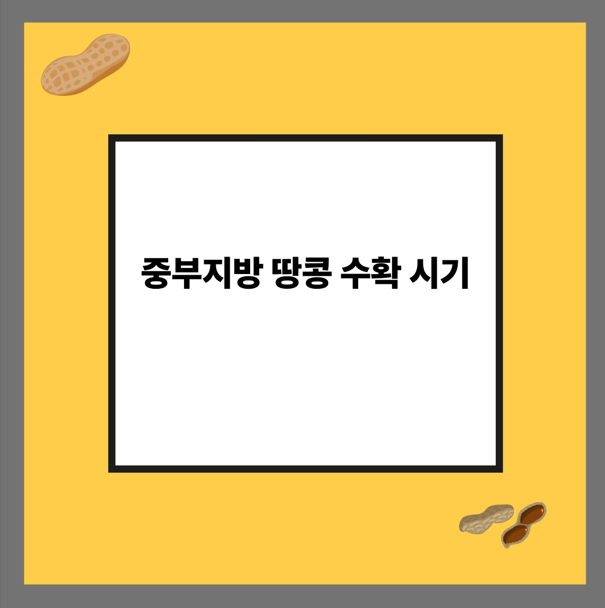 중부지방 땅콩 수확 시기