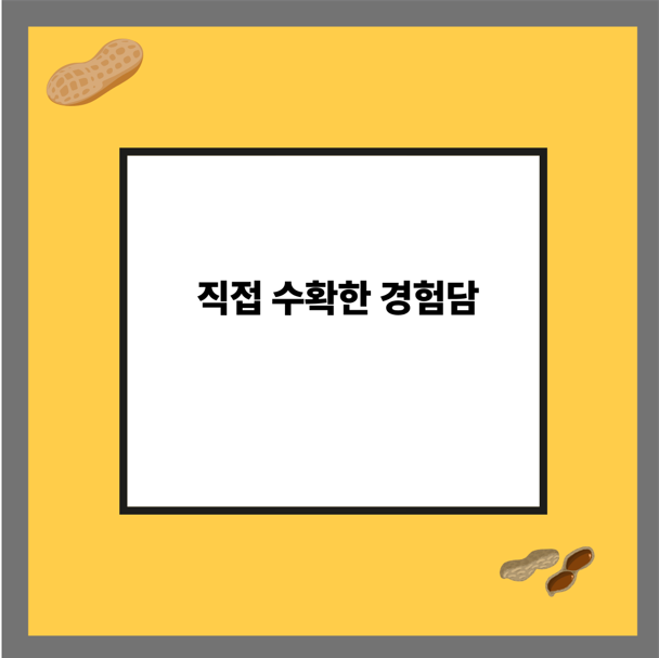 직접 수확한 경험담