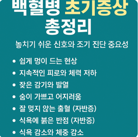 백혈병 초기증상 총정리 놓치기 쉬운 신호와 조기 진단 중요성