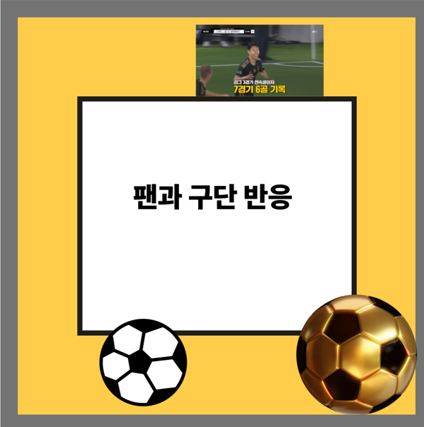 팬과 구단 반응