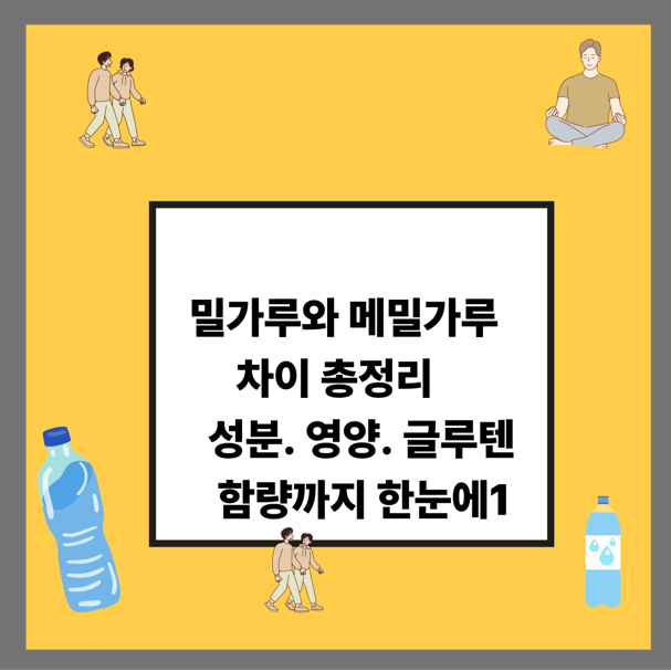 밀가루와 메밀가루 차이 총정리