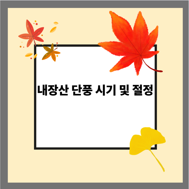 내장산 단풍 시기 및 절정