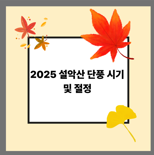 2025 설악산 단풍 시기 및 절정