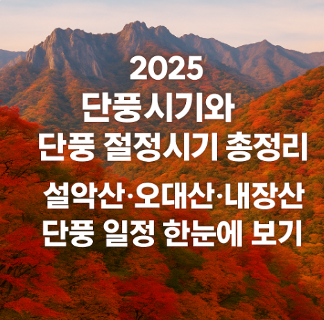2025 단풍시기와 단풍 절정시기 총정리｜설악산·오대산·내장산 단풍 일정 한눈에 보기