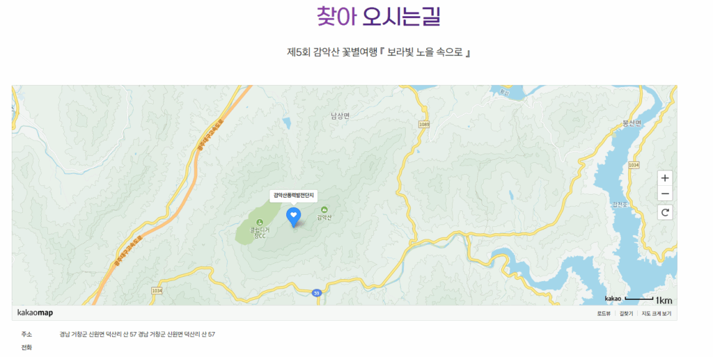 축제 방문 꿀팁