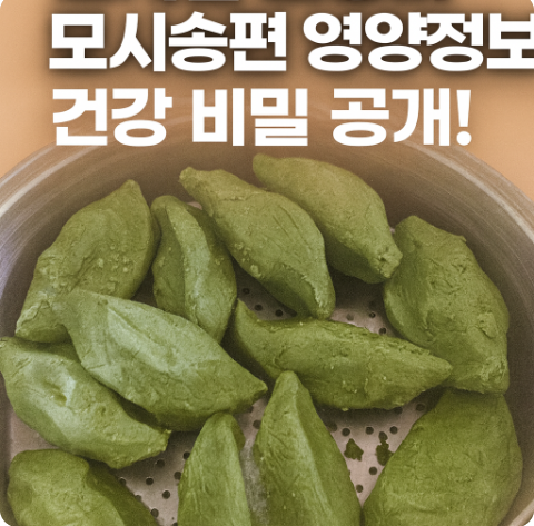 모시잎 효능과 모시송편 영양정보! 전통 식재료의 건강 비밀