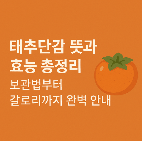 태추단감 뜻과 효능 총정리 보관법부터 칼로리까지 완벽 안내