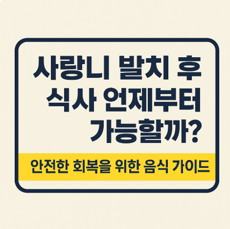 사랑니 발치 후 식사 언제부터 가능할까? 안전한 회복을 위한 음식 가이드