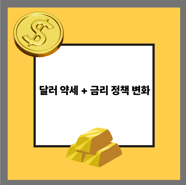 달러 약세 + 금리 정책 변화