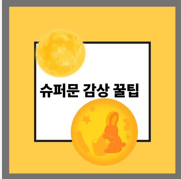 슈퍼문 감상 꿀팁