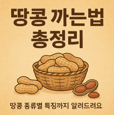 땅콩 까는법과 땅콩껍질 쉽게 까는법 총정리|땅콩 종류별 특징까지 알려드려요