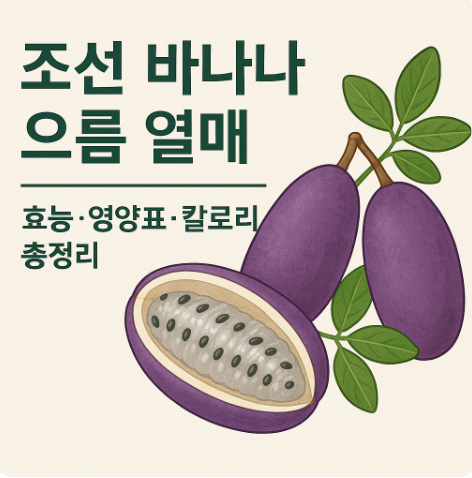 으름 열매 효능과 칼로리 총정리 조선 바나나의 건강 비밀