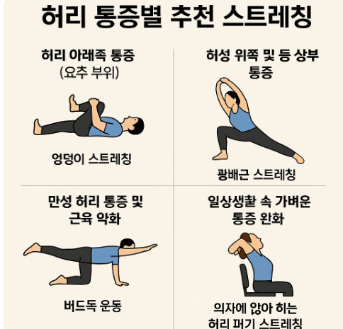 허리 통증 스트레칭 종류 총정리|부위별 맞춤 운동법과 효과적인 관리법