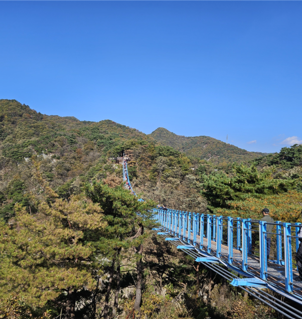 원주 소금산 출렁다리 입장료·코스·주차장 총정리｜직접 걸어본 후기까지 알려드려요
