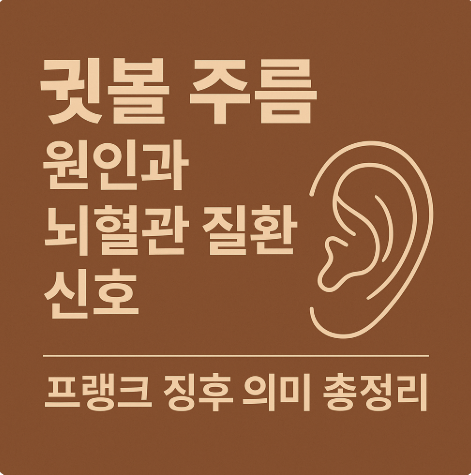 귓볼 주름 원인과 뇌혈관 질환 신호 프랭크 징후 의미 총정리