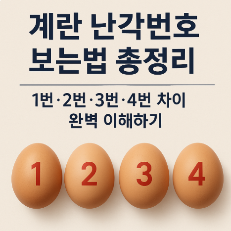 계란 난각번호 보는법 총정리 1번·2번·3번·4번 차이 완벽 이해하기