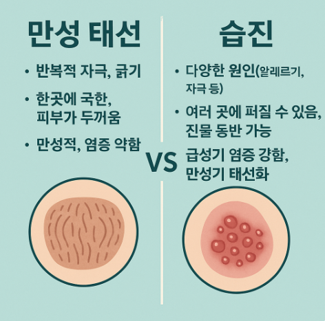 만성 태선과 습진 차이 총정리 가려움·피부 두꺼워짐 원인까지 정확하게 비교해요