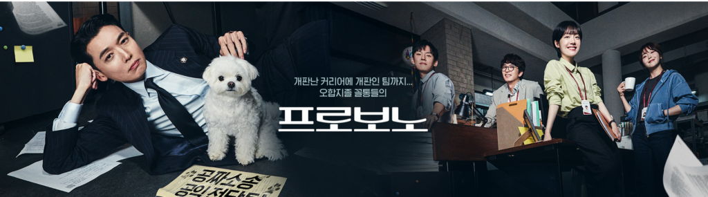 프로보노 드라마 총정리 뜻·등장인물 관계도·재방송 다시보기 안내